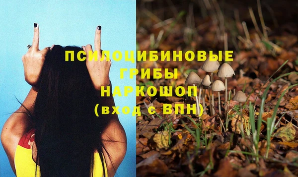 мдпв Абинск
