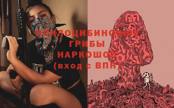 мдпв Абинск