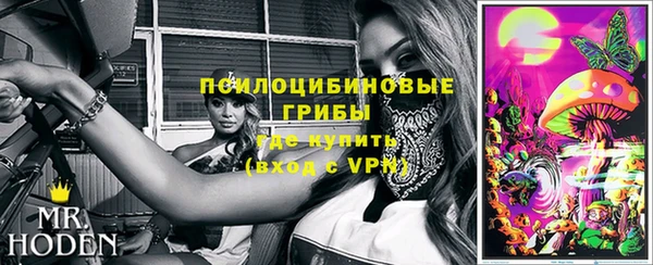 мдпв Абинск