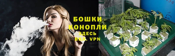 бошки Абаза